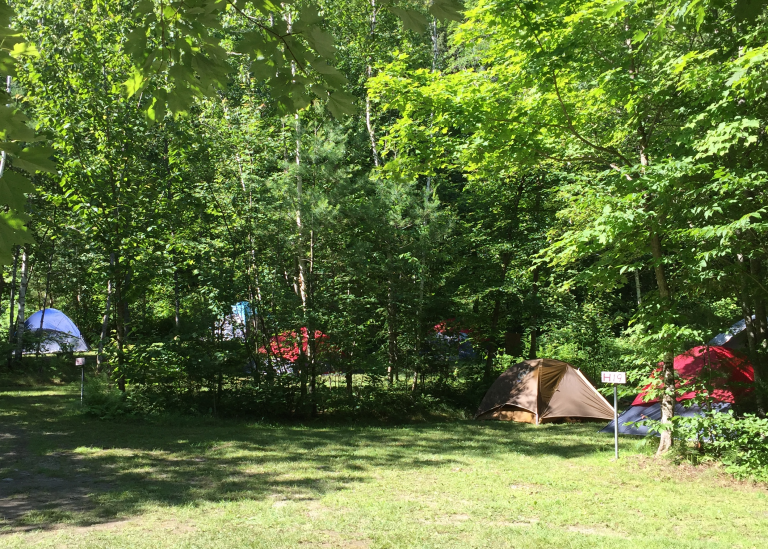 Welcome_Carousel_New-Website-34