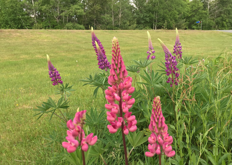 Welcome_Carousel_New-Website-42