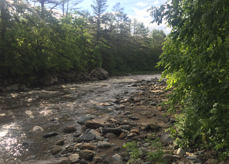 Welcome_Carousel_New-Website-47