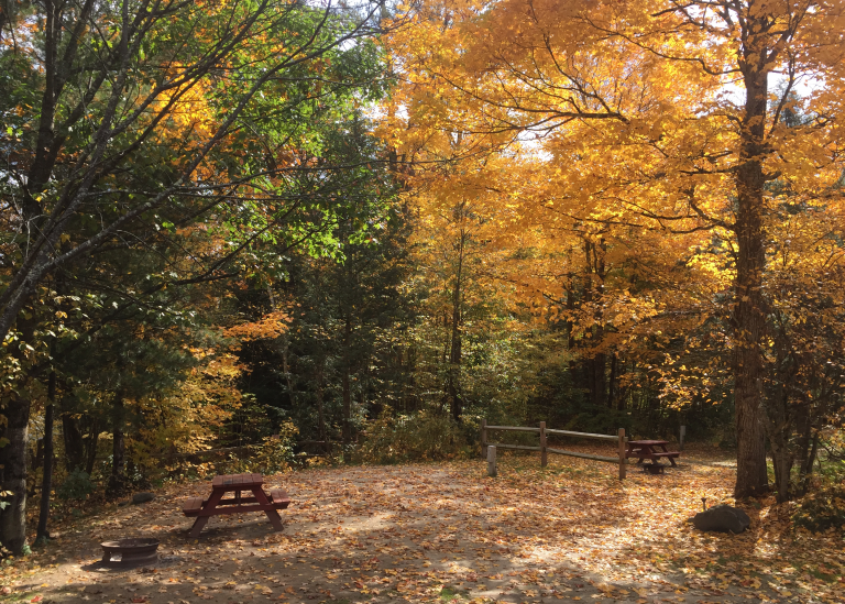 Welcome_Carousel_New-Website-67