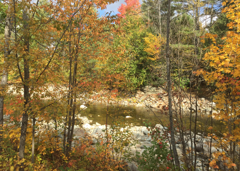 Welcome_Carousel_New-Website-68